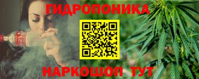 шишки Усть-Джегута