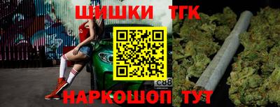 индика Тулун