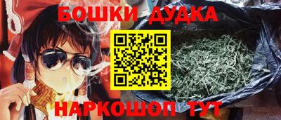 индика Тулун