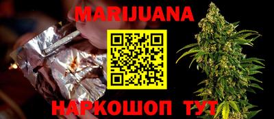 индика Тулун
