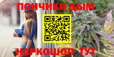 индика Тулун